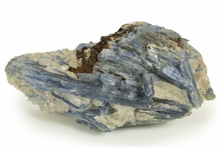Vibrant Blue Kyanite Crystals and Staurolite In Quartz - Brazil #322579